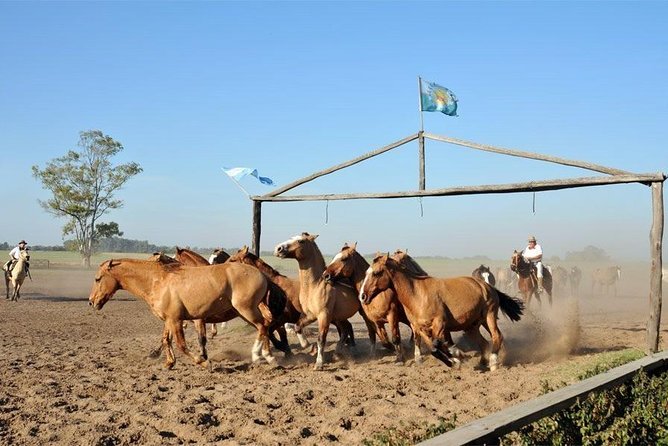 Gaucho Fiesta With Lunch - Full Day Tour - Meeting and Pickup