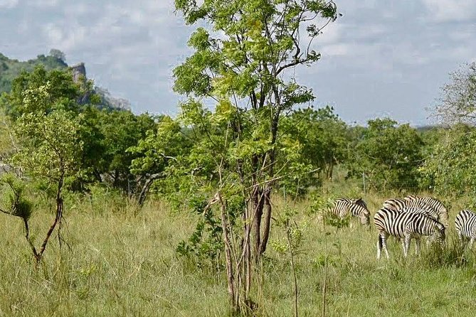 Ghana 2020 Beyond The Return: Shai Hills and Akosombo Tour - The Sum Up