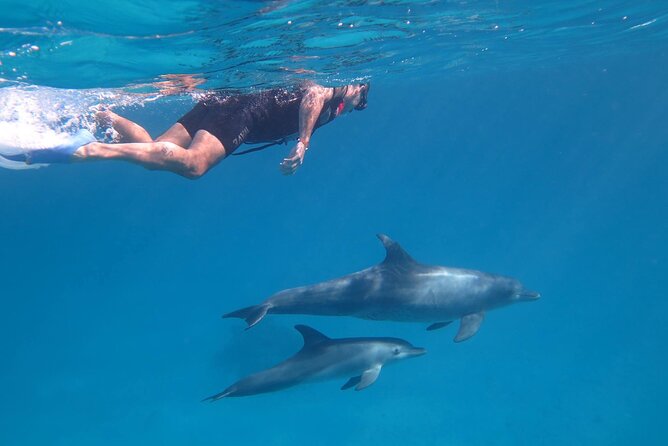Giftun Island, All Day Trip With Snorkeling - Pickup Information