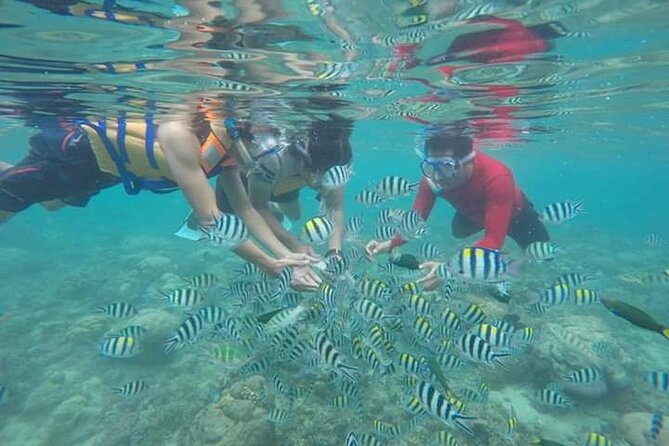 Gili Asahan Snorkeling Tour - The Sum Up