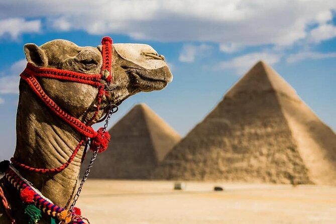 Giza Pyramids by Camel - Additional Info