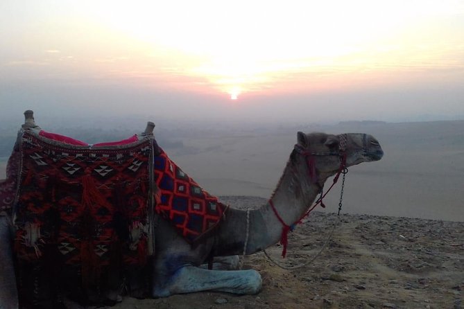 Giza Pyramids Sunset With a Camel Ride & Bedouin Tea - Starting Time