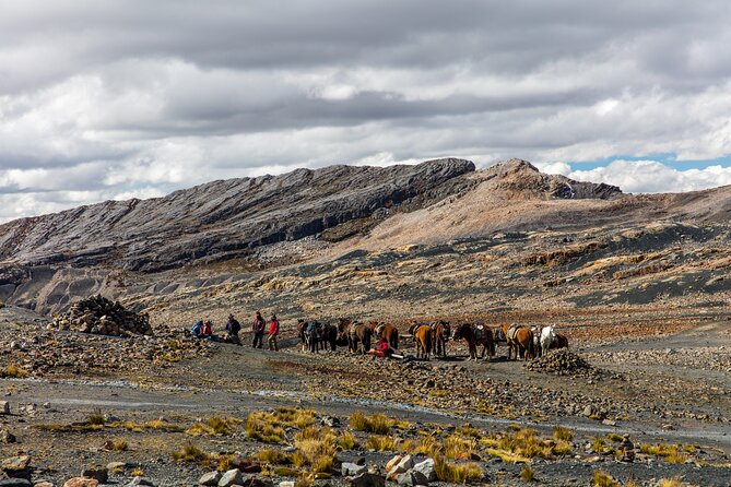 Glacier Pastoruri and Puya Raimondi Full Day Tour - Pickup and Meeting Details