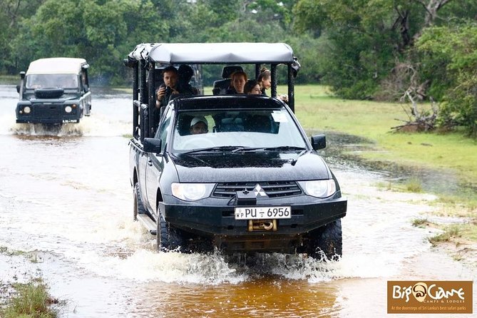 Glamping & Safari - Wilpattu National Park - Activity Schedule and Timing