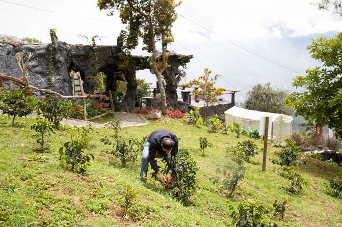Glamping Spa & Coffee Tour - Discover Coffee Making Process