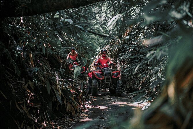 Gorila Face Cave ATV Quad Bike With Infinity Pool and Lunch - Cancellation Policy