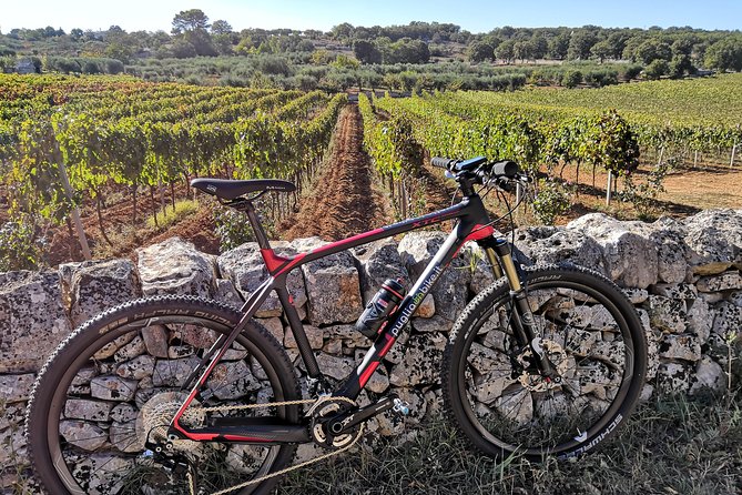 GPS Self Guide Locorotondo+Alberobello + Tasting in the Vineyard - Directions