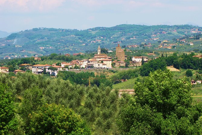 Grand Panoramic Private Tour of Florence by Minivan - Availability and Booking