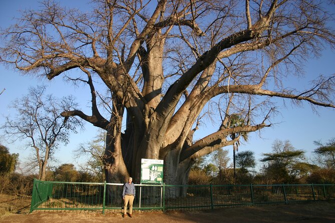 Guided 4x4 Town Safari in Victoria Falls - Cancellation Policy Details