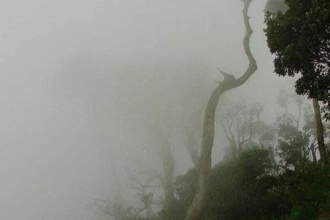 Guided Cameron Highland Day Tour From Kuala Lumpur (Private Basis) - Operator Information