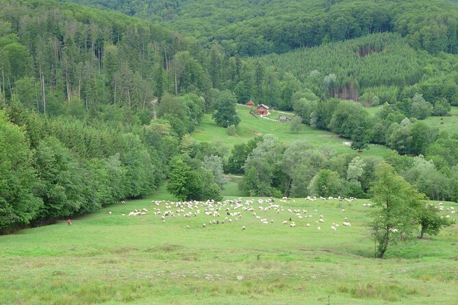 Guided Day Tour to Bucovina Painted Monasteries - Booking Information