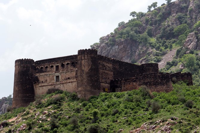 Guided Day Trip to Abhaneri & Haunted Bhangarh From Jaipur - Dietary Accommodations
