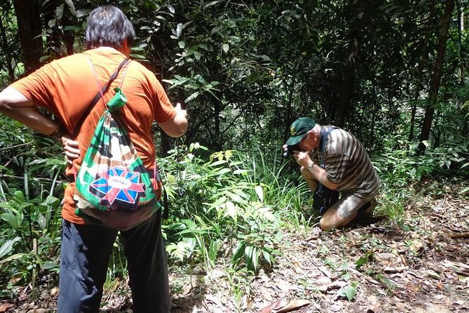 Guided Nature Trail to Kanneliya Forest - Pickup Details