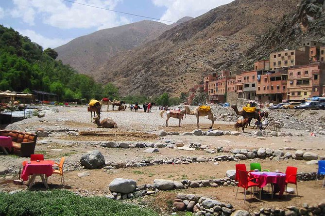 Guided Shared Day Trip Paradis Valley Day Trip Highlights From Marrakech - Return Journey to Marrakech