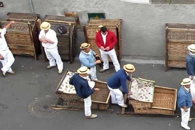 Guided Toboggan Ride and Madeira Wine Tasting Tour - Booking Price