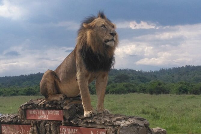Guided Tour to Nairobi National Park, Giraffe Center & Karen Blixen Museum - Tour Highlights