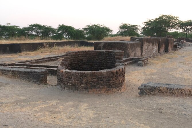 Gujarat Historic Places & Wildlife Safari Tour - Wildlife Safari Experiences