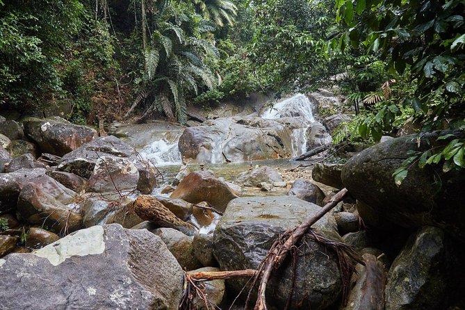 Gunung Gading National Park Tour - Booking Information