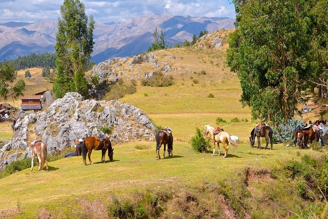 Half Day - City Horse Traditional Riding Tour Group Service - Cancellation Policy