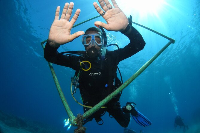 Half Day Diving Experience in Red Sea, Sharm El Sheikh - Booking Process