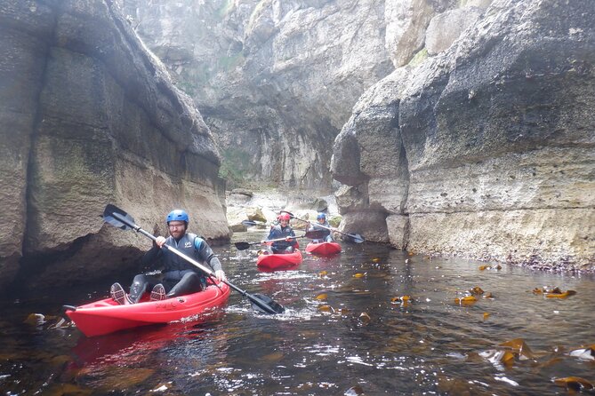 Half-Day Guided Kayak Activity in Dunseverick Harbour - Frequently Asked Questions