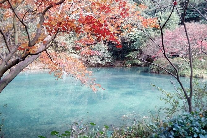 Half-Day Hangzhou Jiuxi Stream and Tea Plantation Experience - Pricing and Booking