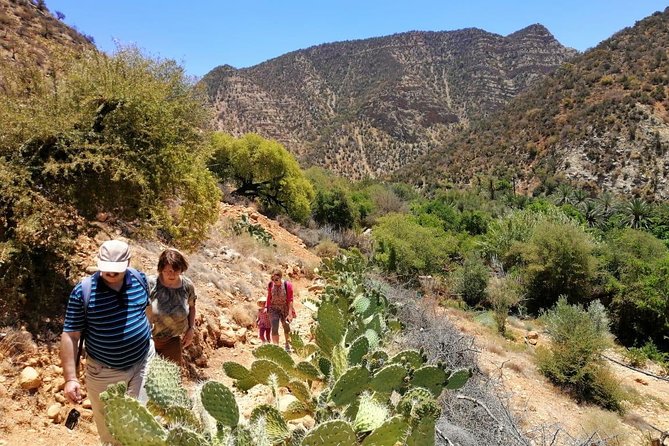 Half Day Hiking Between Palm Trees and Valley in Agadir - Price and Booking