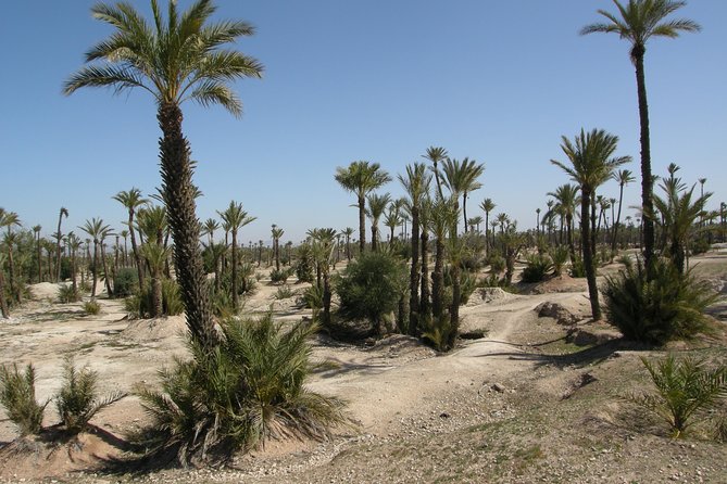 Half Day Marrakech Camel Safari - Additional Information
