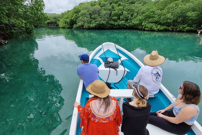 Half Day Private Roatan Cultural East Tour - Accessibility Information