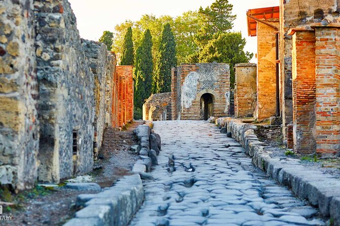 Half-Day Private Tour From Naples to Pompeii - Pickup Information
