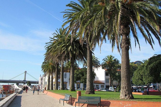 Half-Day Private Tour in Aveiro and Costa Nova - Booking Details
