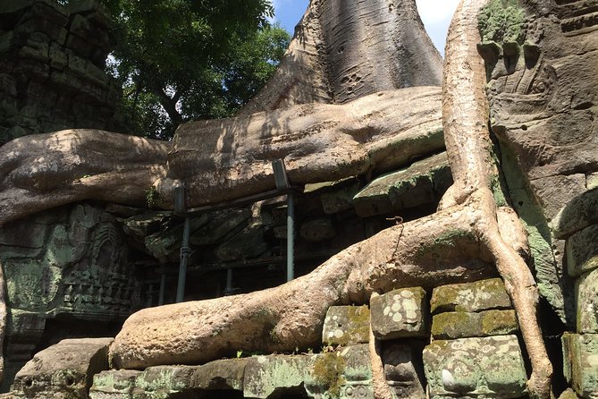 Half Day Private Tour: Tomb Raider & Banteay Kdei Temple - Pricing Details