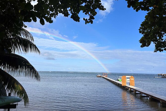 Half-Day Scuba Diving Adventure Roatan - 2 Dives - Pricing and Booking Information