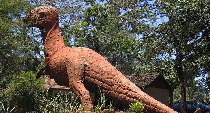 Half Day Tour to Nairobi National Museum & Snake Park - Additional Information