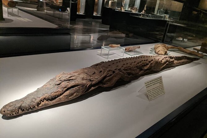 Half Day Tour Visit Luxor And Mummification Museums - Private Tour Details