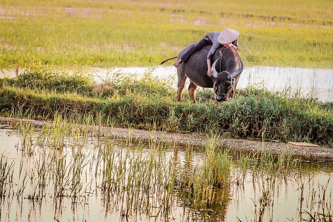 Half-Day Tra Que Village From Hoi An - Cancellation Policy