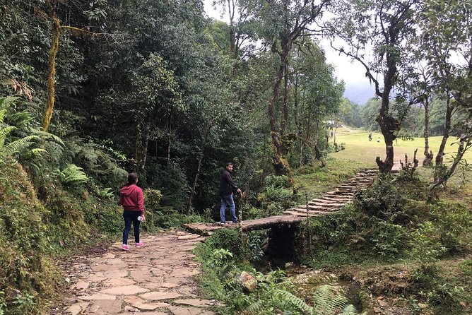 Half Day Trek to Dhampus - Cancellation Policy Details