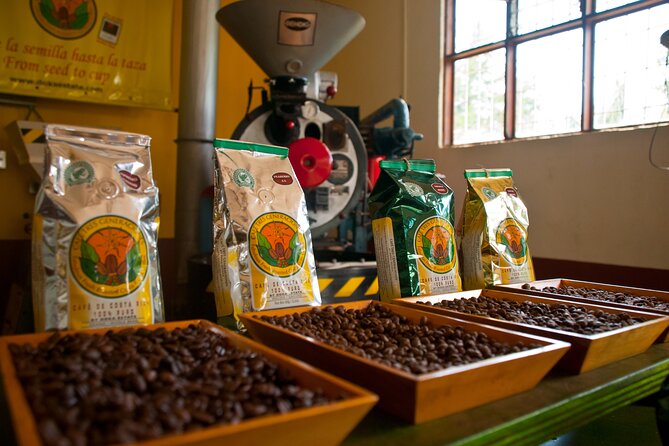 Half- Day Trip to Doka Estate & Poas Volcano From San Jose - Traveler Reviews and Tips