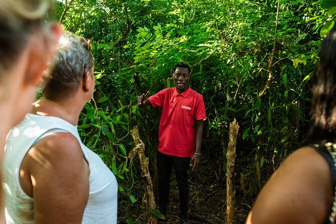 Half-Day Walking Tour in Zanzibar Citys Spice Island - Cancellation Policy