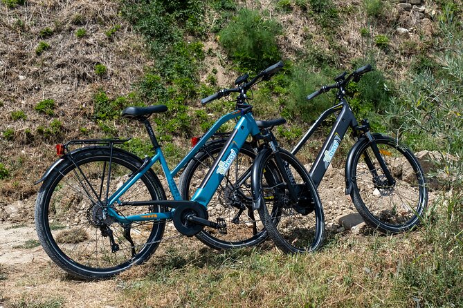 Half Guided E-Bike Tour With Lunch Break - Cancellation Policy