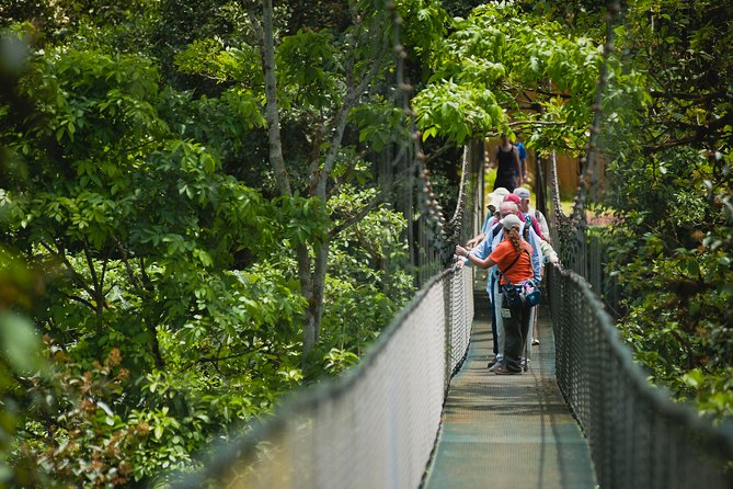 Hanging Bridges Adventure San Luis From San Jose