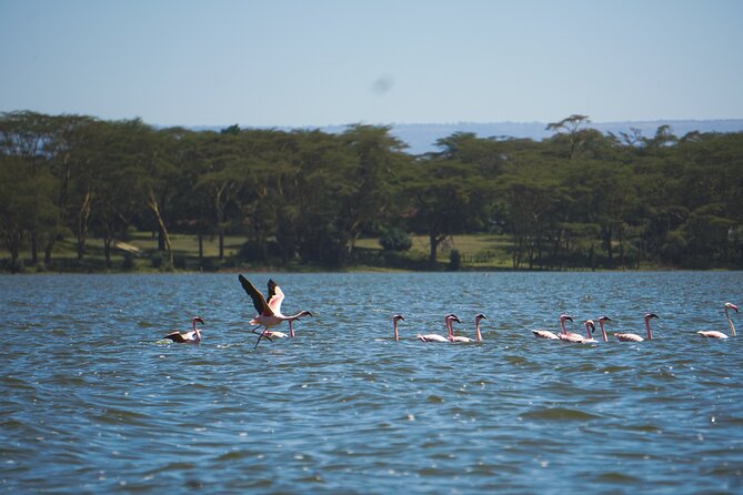 Hells Gate With Hiking Biking Climbing and Camping in Kenya - Inclusions and Services Provided