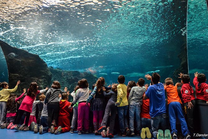 Heraklion City Tour-Market-Creta Aquarium - Final Thoughts