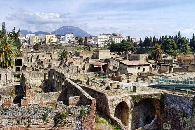 Herculaneum Half Day From Naples - Pricing and Guarantee