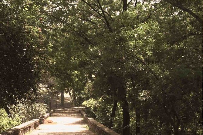 Heritage Tour of Delhi Including Qutub Minar and Mehrauli Archaeological Park - Dining Experience