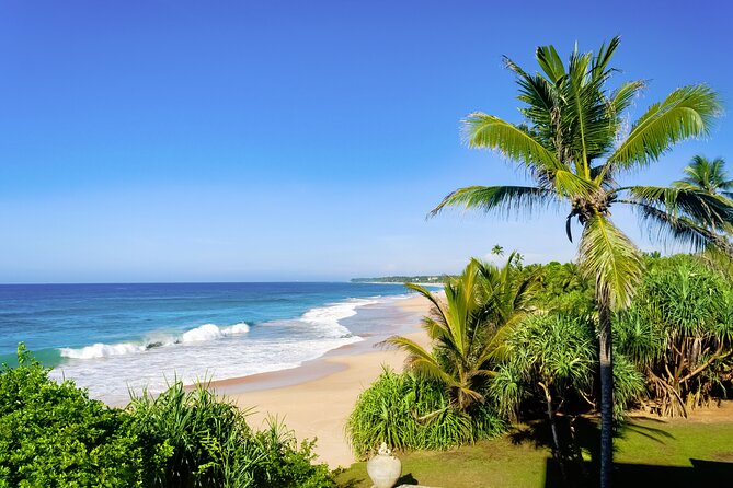 Hidden Temples and Secluded Coastlines Tour From Galle - Insider Tips for the Tour