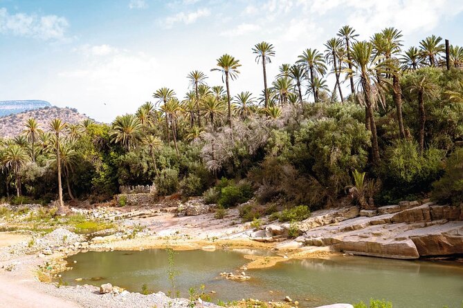 High Atlas Flavours 4x4 Tour With Lunch - Important Guidelines for Travelers