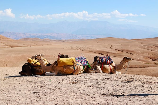 High Atlas Mountains and Three Valleys Day Trip From Marrakech - Cancellation Policy