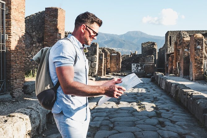 Highlights of Pompeii Guided Walking Tour - Historical Insights