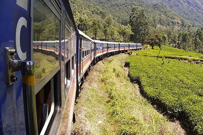 Highlights of Sri Lanka by Train (12) - Private Vehicle Transport Provided
